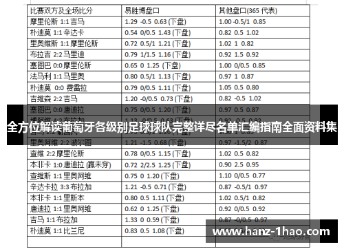 全方位解读葡萄牙各级别足球球队完整详尽名单汇编指南全面资料集
