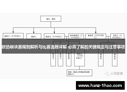 欧协联决赛规则解析与比赛流程详解 必须了解的关键规定与注意事项